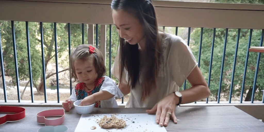 DIY Birdseed Ornaments for the HANGRY BIRDS