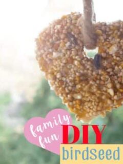 DIY Birdseed Ornaments for the HANGRY BIRDS