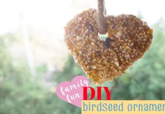 DIY Birdseed Ornaments for the HANGRY BIRDS