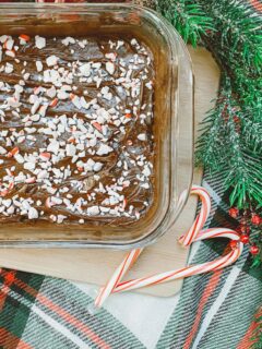 Christmas-Peppermint-Brownie-Chocolate-Rubbermaid-Brilliance-Glass-