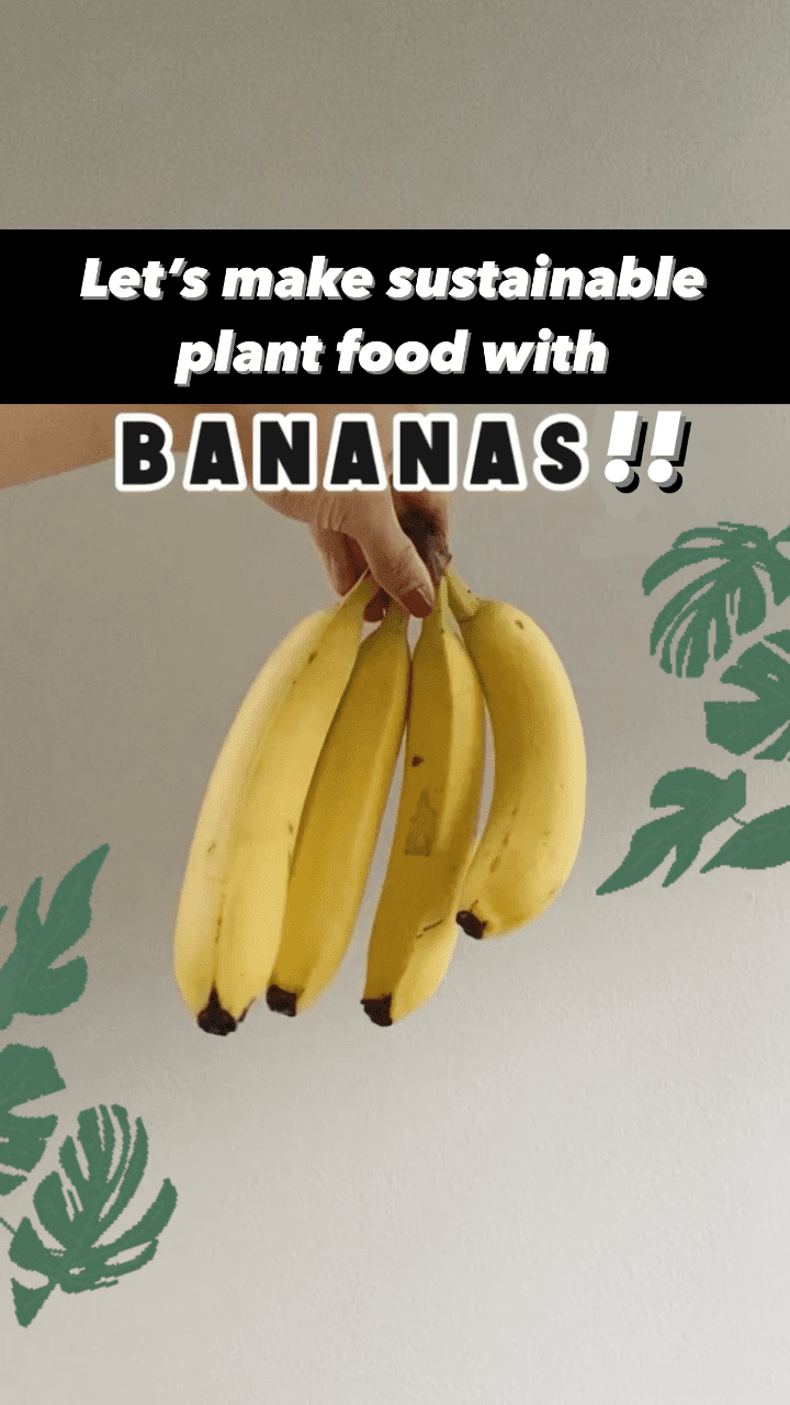 Banana Water for Plants! DIY Sustainable Plant Food • Tiffanie Anne Blog