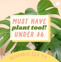 monstera-plant-tips-hacks-velcro-tiffanieanne.com