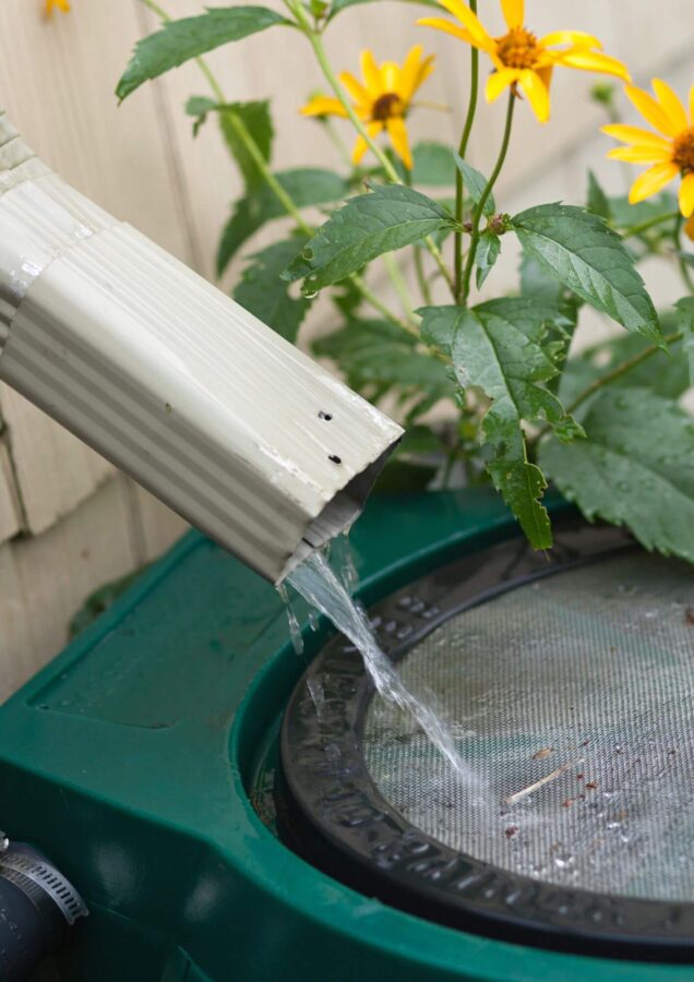 Things You Can Do at Home To Help Prevent Water Shortages
